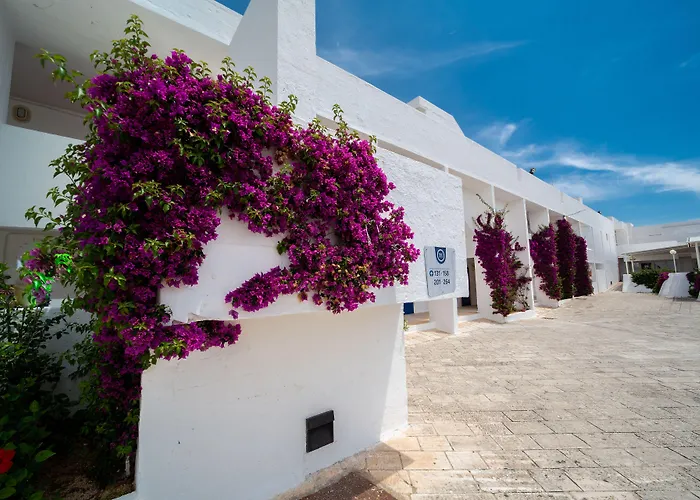 Th - Marina Village